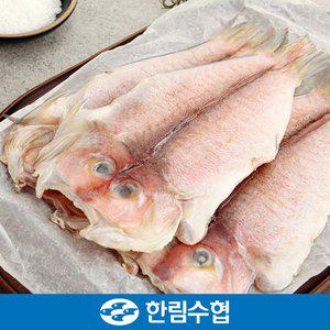 [한림수협][9/19(금)순차출고][제주 한림수협] 제주직송 제주 특大 옥돔 6마리 세트 (옥돔 380g x 6팩)