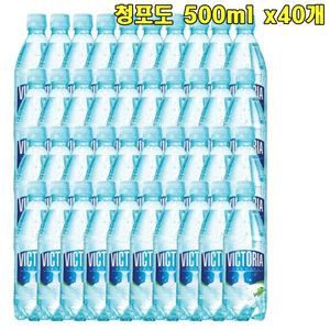 빅토리아 청포도 500ml x40개