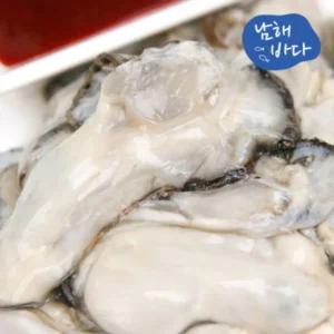 [남해바다] 국내산 생굴 1kg (가열조리용)