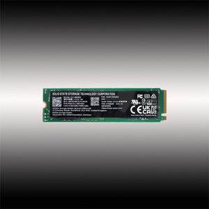 CL1-8D256 NVMe SSD 256GB 벌크 80mm(나사)