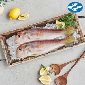 [올레마켓]제주 통옥돔 140g x 10팩