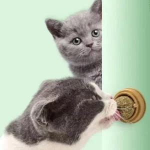 고양이 사탕 롤링 사탕 2개입