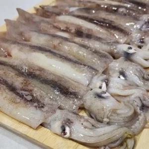 ksr 국내산 통찜용 선동오징어 1kg (WFJI2CW)