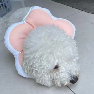 넥카라 꽃피는 쿠션 강아지깔대기 강아지 핑크 L (3NWIg)