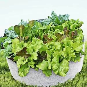 베란다 텃밭 부직포 화분 70x30cm 그레이 텃밭화분 베란다 텃밭 부직포화분 텃밭화분