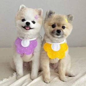 키밍 강아지 고양이 스카프 턱받이 애견침받이 스카프