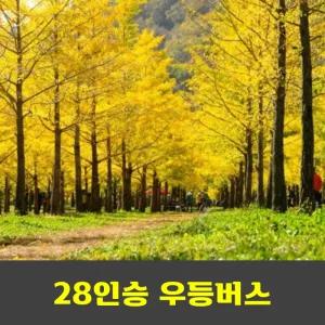 홍천 은행나무 숲과 공작산 수타사 산소길 단풍 안내산악회