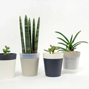 플라팜 새싹 미니화분 원형화분 36개 세트 플라스틱화분 거실화분 인테리어화분 꽃화분