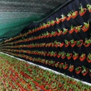 실내정원 행잉 부직포 벽화분 18포켓 벽걸이 수직정원 벽걸이화분 벽걸이식물 벽면식물꾸미기