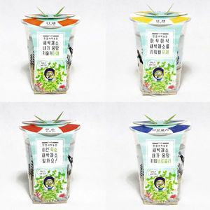일러스트화분 무순 브로콜리 유채 밀싹 재배 세트 키우기쉬운식물 집들이선물