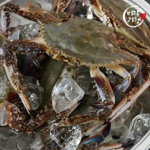 [미각기행](G)미각기행 제철 대박 활 숫꽃게 3kg(9-15미)
