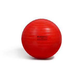 세라밴드 스트래칭 요가 운동용 짐볼 55cm 567