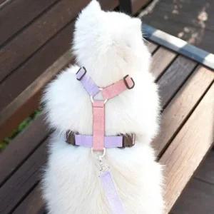 강아지 가슴줄 애견하우스 앞섬방지 산책줄 목줄 (3OXRd)