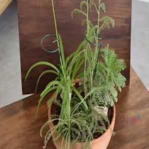 농작물 지지대 45cm 고추 토마토 줄기 원예용 지지봉