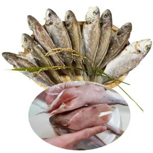 국내산 반건조 백조기 1미 2팩,4팩 (30cm 이상)-제수용 반찬용