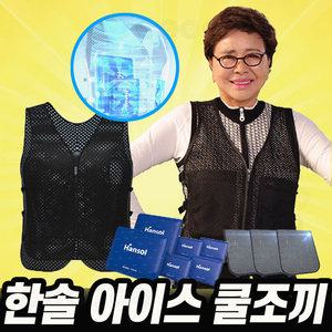 한솔 아이스 쿨조끼 매쉬 2중 보냉백 얼음 냉감 냉매 야외 쿨러백 등산 낚시 여름 작업 국산