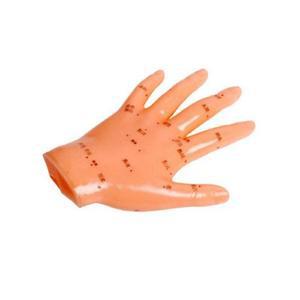 [BZE2445K_49]인체모형 손경 혈 130mm PVC 손모형 손인형