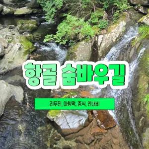 [리무진] 정선 항골 숨바우길 계곡트래킹 당일여행