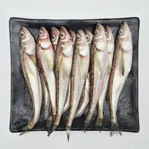 국내산 햇 도루묵 급냉 500g