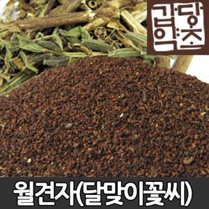 월견자 달맞이꽃씨 월견초 달맞이꽃종자유