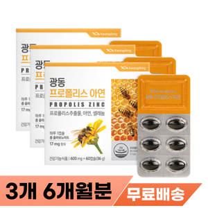 몸속 염증 제거 면역력 항균 항산화 활성 산소 제거제 영양제 식약처인증 꿀벌 플로폴리스 프로플리스 60대