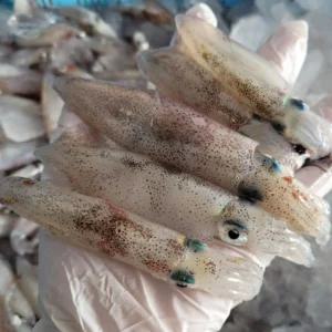 자연산 급냉 총알 한치 1kg (500gx2팩) 30-50미