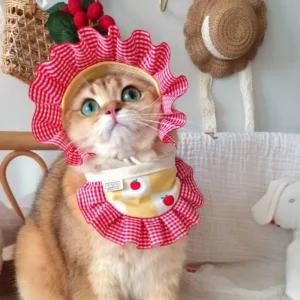 강아지 고양이 모자 턱받이 스카프 2종 세트 애견코스튬 펫소품 홈파티 의상 반려용품 패션