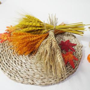 밀 보리 쌀 이삭 묶음, 가을 추수장식품,계절 디스플레이 소품, 매장 장식 인테리어 소품