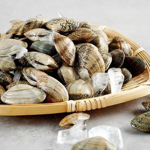 껍질바지락 1kg