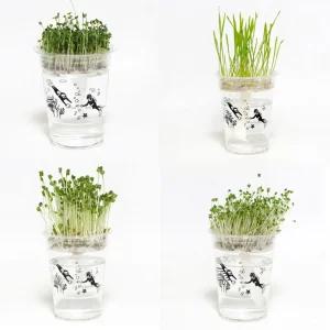 저면관수 미니화분 새싹 키우기 DIY 키트/화분/재배/식물/기르기/꽃키우기/채소/반려식물/재배기