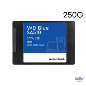 웨스턴디지털 WD Blue SSD SATA 250G
