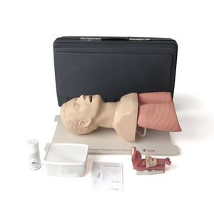 LAERDAL  성인 기도 확보 트레이너 마네킨 25000033