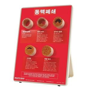 HEALTH EDCO  79149 - 동맥폐쇄모형 3D판넬