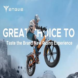 Ebike Engwe EP-2 Pro 750W 48V 13AH 배터리, 20인치 지방 타이어, 접이식 전기 자전거, 최고 속도 45KM/H,