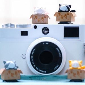 핫슈커버 카메라 슈 고양이 캐릭터 악세사리 DSLR 미러리스용