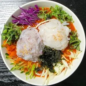싱싱햇 한치 물회 냉동 육수 한치회 400g