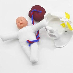 인간 배달 데모 골반 교육 해부학 태아 탯줄 의과 학생 도구