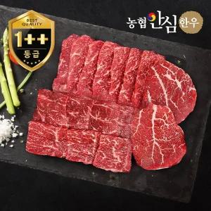 갤러리아 [농협안심한우] 1++등급  한우 모둠구이 한판 600g (보섭+설깃+우둔)