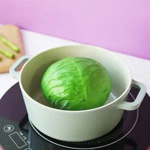 로이체 IH 양수 냄비 인덕션냄비 2size 2color 직화냄비 인덕션냄비 곰솥 곰솥냄비