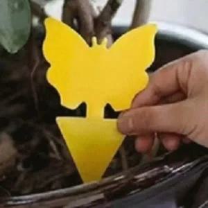 날파리퇴치제 하수구날파리 날파리트랩 나비1p