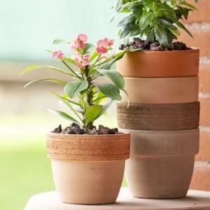 베하몰 바소 팔라디오 25x22cm 소보로VG원예용품 정원 분갈이화분 토분 홈가드닝 식물키우기 꽃키우기 용토
