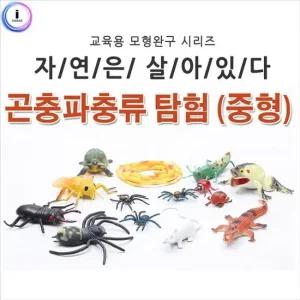 어린이집 자연은살아있다-곤충파충류탐험  중형 815826B) 곤충파충류탐험 자연곤충탐험