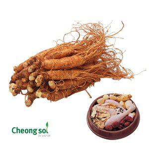 [청솔]수삼 500g