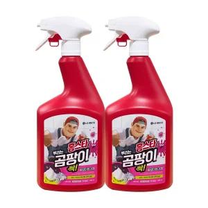 엘지생활건강 홈스타 맥스프레쉬 뿌리는 곰팡이싹 세정제 900ml 2개 / 욕실 물때 찌든때 곰팡이제거 청소세제