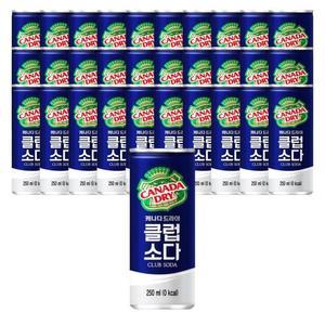 [코카콜라] 코카콜라음료 캐나다드라이 클럽소다 250ml 30개