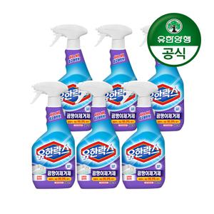 [유한양행]유한락스 곰팡이 제거제 500mL+500mL 3개(총 6개)