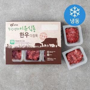 돈마루 무항생제인증 한우 다짐육 이유식용 (냉동) 300g × 1개