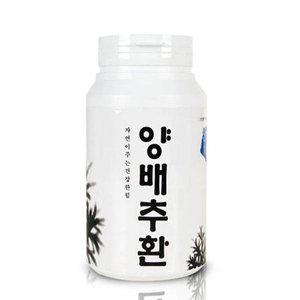 고품질 양배추환 300g (WFHTZO4)