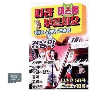 테스형 따라부르세요 경음악 SD 노래 (WC8AD12)