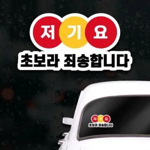 JDS 초보운전스티커 아이가타고있어요 왕초보 운전
